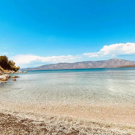 Wabi-sabi In Village Koilas